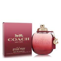 Eau De Parfum Spray 3 Oz