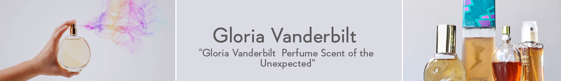 Shop Gloria Vanderbilt