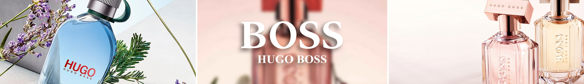 Shop Hugo Boss