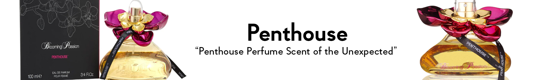 Shop Penthouse